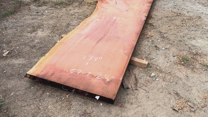 Giant Sequoia Live Edge Slab – 14.5' x 44" x 2.5" – Old Growth, Air-Dried – #C7-7