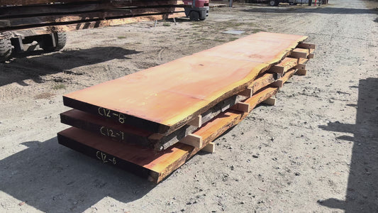 Giant Sequoia Live Edge Slab – 16.75' x 41" x 3" – Old Growth, Air-Dried – #C12-8