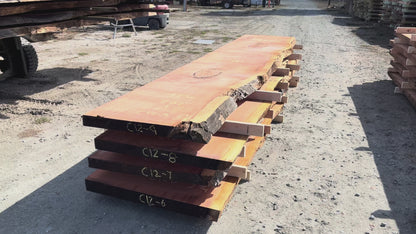 Giant Sequoia Live Edge Slab – 16.83' x 39" x 3.125" – Old Growth, Air-Dried – #C12-9