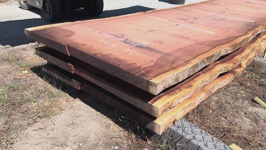 Giant Sequoia Live Edge Slab – 16.17' x 62" x 3.25" – Old Growth, Air-Dried – #C5-5