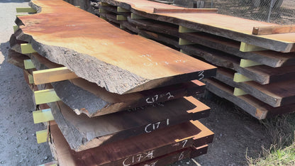 Giant Sequoia Live Edge Slab – 16.58' x 45" x 2.5" – Old Growth, Air-Dried – #C17-3