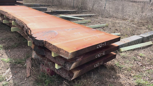Giant Sequoia Live Edge Slab – 14.33' x 50" x 3" – Old Growth, Air-Dried – #C10-3