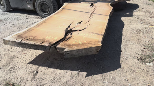 Heritage Valley Oak Live Edge Slab – 20.17' x 64" x 3.25" – Old Growth, Air-Dried – #VO-6