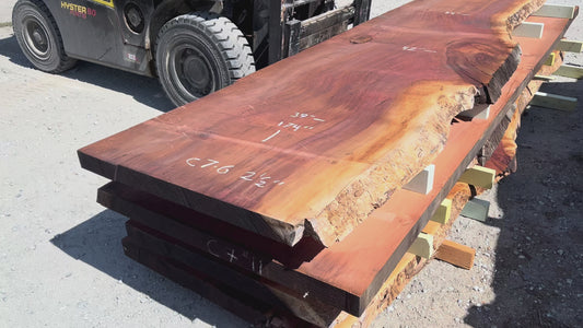 Giant Sequoia Live Edge Slab – 14.5' x 42" x 2.5" – Old Growth, Air-Dried – #C7-6