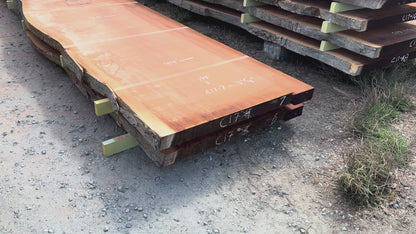 Giant Sequoia Live Edge Slab – 16.5' x 46" x 3.125" – Old Growth, Air-Dried – #C17-7