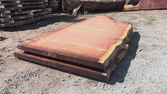 Giant Sequoia Live Edge Slab – 15.33' x 79" x 3.5" – Old Growth, Air-Dried – #C1-7
