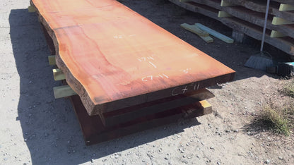 Giant Sequoia Live Edge Slab – 14.5' x 42" x 3" – Old Growth, Air-Dried – #C7-11