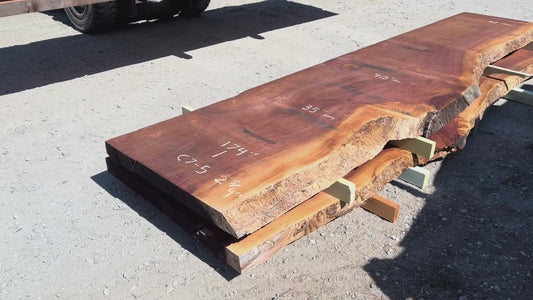 Giant Sequoia Live Edge Slab – 14.5' x 40" x 2.75" – Old Growth, Air-Dried – #C7-5