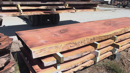 Giant Sequoia Live Edge Slab – 14.5' x 45" x 3" – Old Growth, Air-Dried – #C7-10