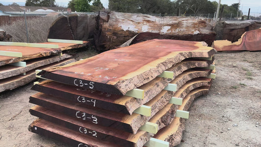 Giant Sequoia Live Edge Slab – 12.92' x 61" x 3.25" – Old Growth, Air-Dried – #C3-5